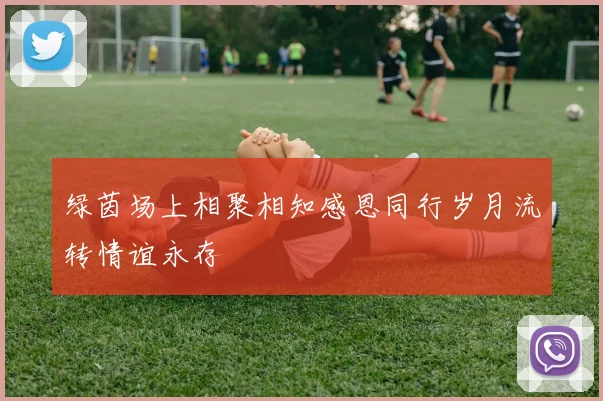绿茵场上相聚相知感恩同行岁月流转情谊永存