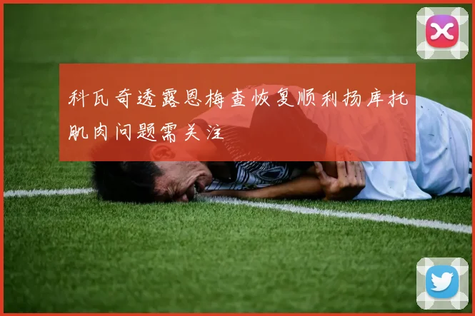 科瓦奇透露恩梅查恢复顺利扬库托肌肉问题需关注